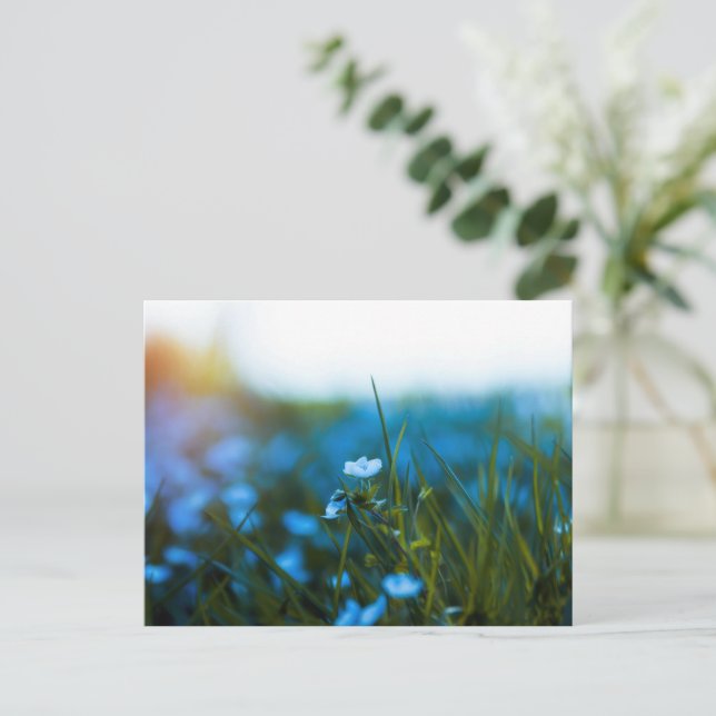 VÅR BLOMMOR i FÄLT Vykort (Stående Fram)