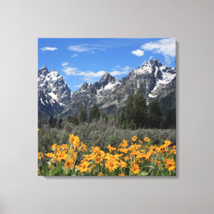 Vår blommor i Grand Teton nationalpark Canvastryck