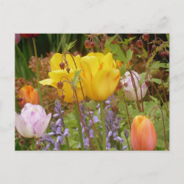 Vår blommor i Gräns vykort
