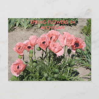 VÅR BLOMMOR I MICHIGAN POSTCARD VYKORT