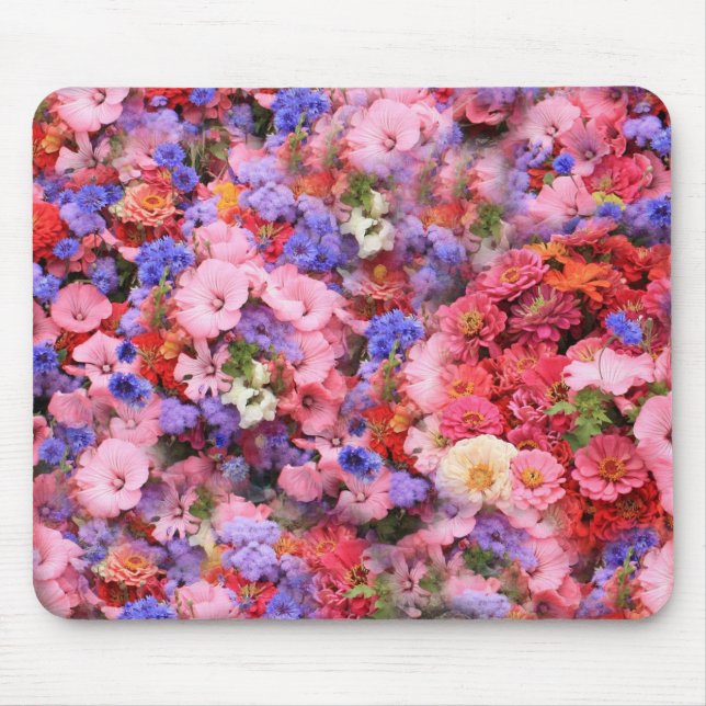 Vår blommor i parken musmatta (Framsidan)