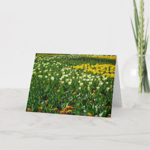 Vår blommor kort