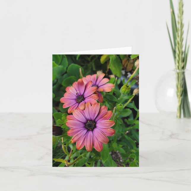 Vår blommor kort (Framsida)