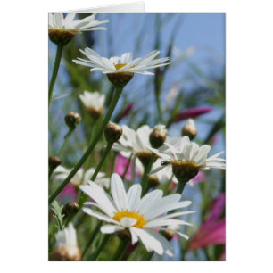 Vår blommor-kort hälsningskort