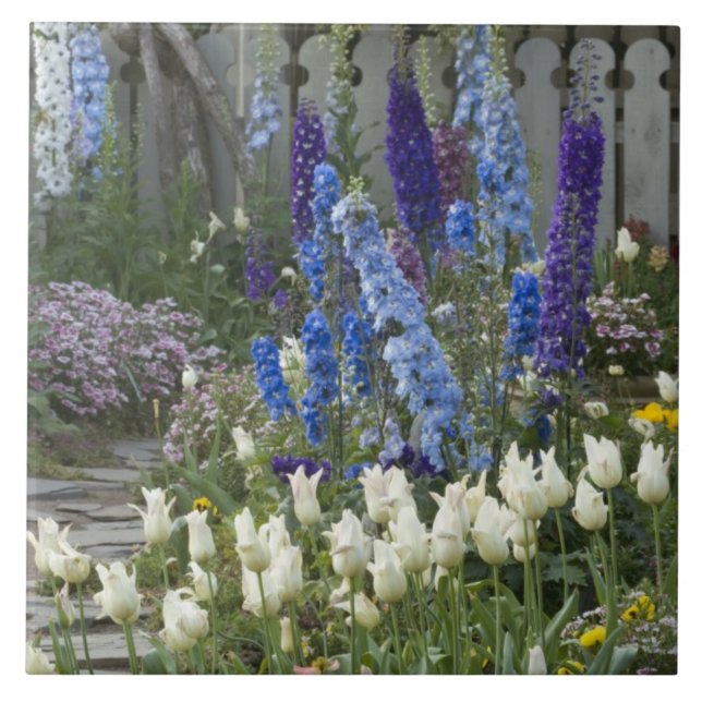 Vår blommor längs en trädgård i väg, Georgien Kakelplatta (Framsidan)