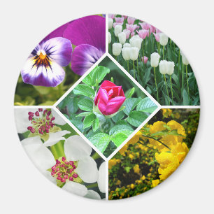 Vår blommor magnet