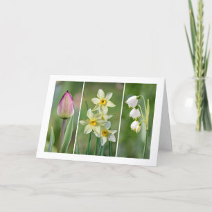 "Vår blommor med blankkort för hälsning Kort