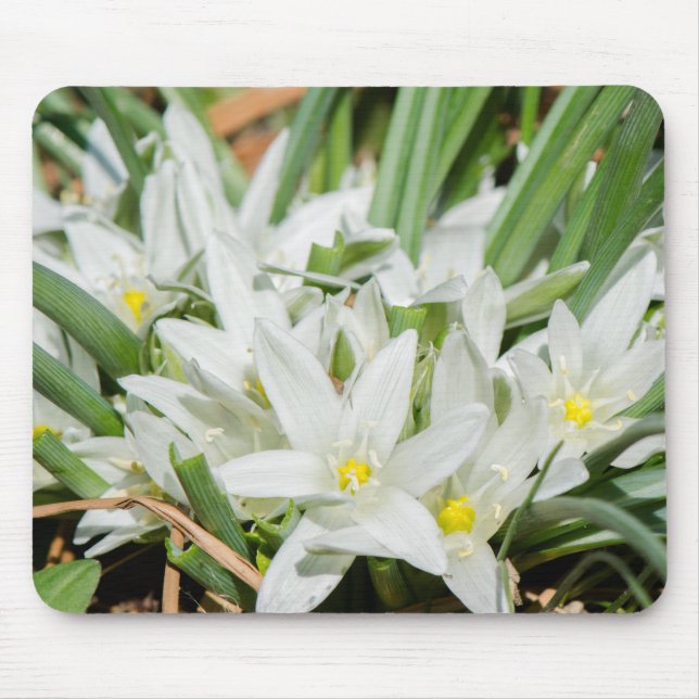 Vår blommor musmatta (Framsidan)
