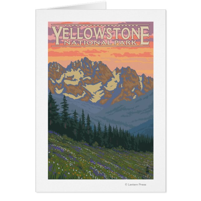 Vår blommor - nationalparken Yellowstone Hälsningskort (Framsidan)