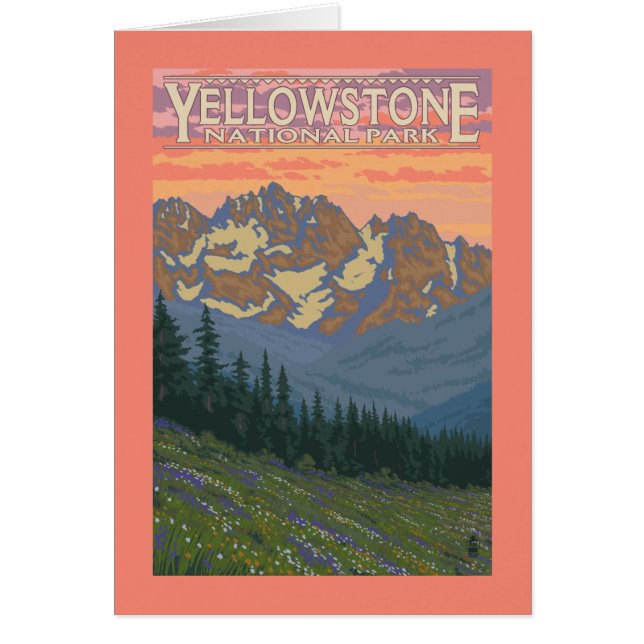 Vår blommor - nationalparken Yellowstone Hälsningskort (Framsidan)