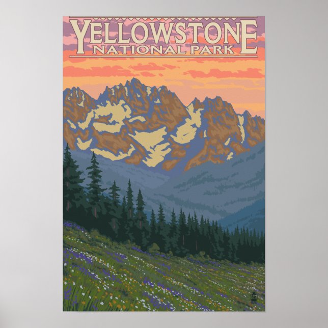 Vår blommor - nationalparken Yellowstone Poster (Framsidan)