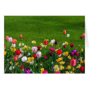 Vår blommor OBS kort