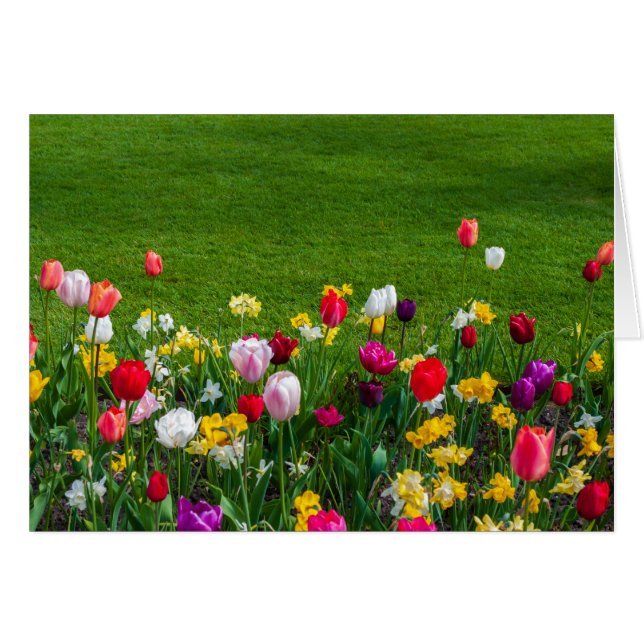 Vår blommor OBS kort (Framsidan Horizontal)