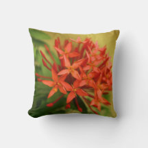 vår blommor, påsk, vår, natur, orange