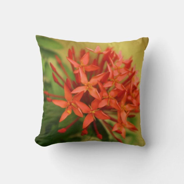 vår blommor, påsk, vår, natur, orange kudde (Framsida)