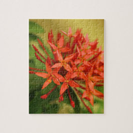 vår blommor, påsk, vår, natur, orange pussel