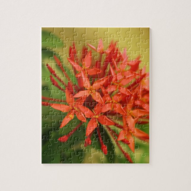 vår blommor, påsk, vår, natur, orange pussel (Vertikal)