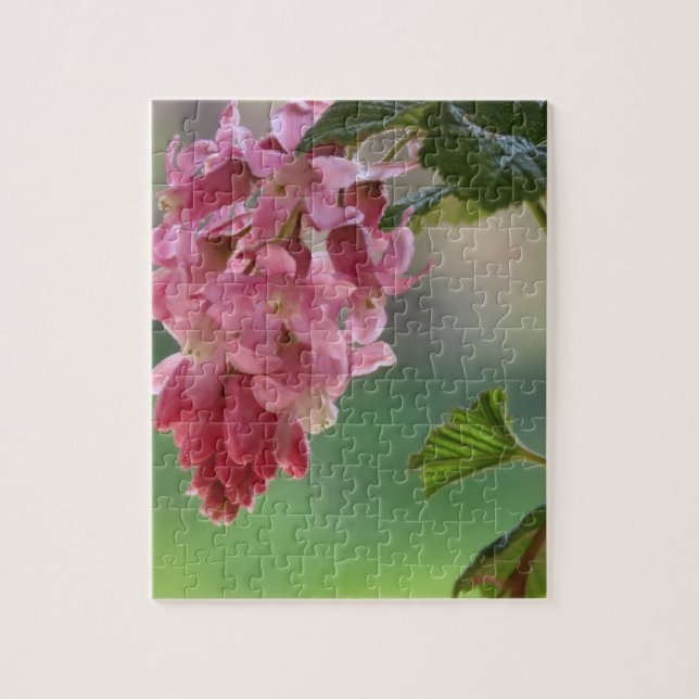 vår blommor, påsk, vår, natur, rosa pussel (Vertikal)