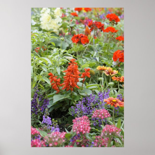Vår blommor poster (Framsidan)