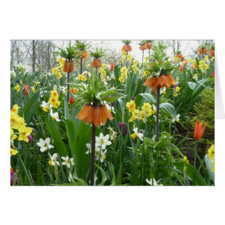 Vår blommor roligt - gult och orange OBS kort