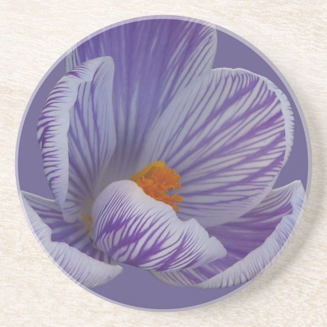 Vår blommor Underlägg Crocus Flowers Underlägg (Framsidan)