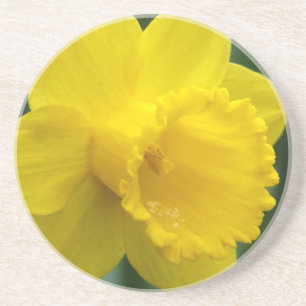 Vår blommor Underlägg Daffoldil Flowers Underlägg