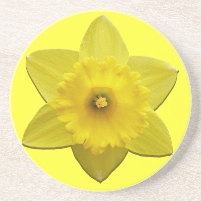 Vår blommor Underlägg Daffoldil Flowers Underlägg (Framsidan)