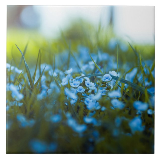 Vår blommor vid fält kakelplatta (Framsidan)