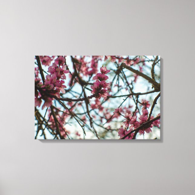 Vår blommor vid träd canvastryck (Framsida)