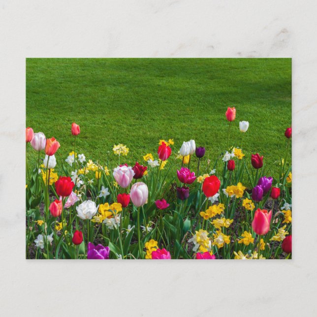 Vår blommor vykort (Framsida)