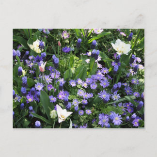 Vår blommor vykort