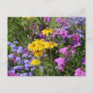 Vår blommor vykort