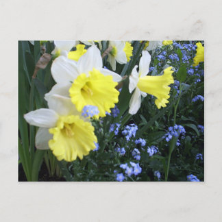 vår blommor vykort