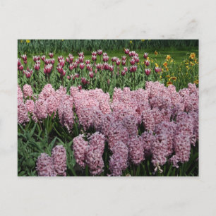 Vår blommor vykort