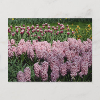 Vår blommor vykort