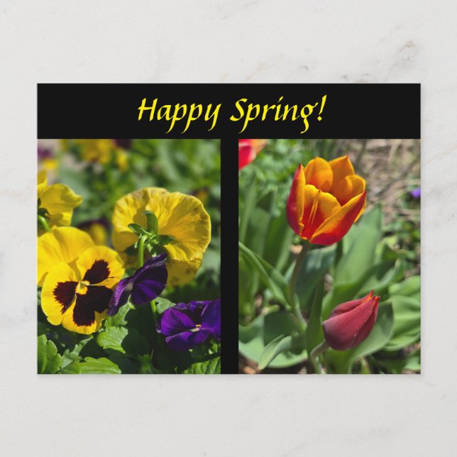 Vår blommor vykort (Framsida)
