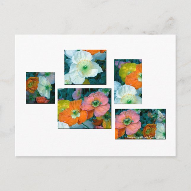 Vår blommor vykort (Framsida)