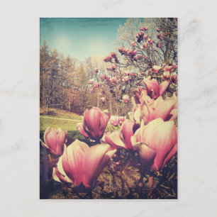 Vår blommor vykort