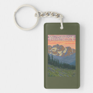 Vår blommor - Yellowstone nationalpark