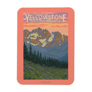 Vår blommor - Yellowstone nationalpark Magnet