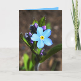 Vår blommorhälsningkort kort