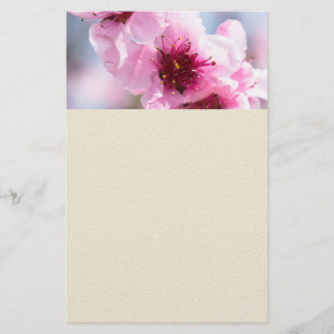 Vår blomning flygblad