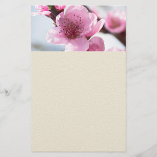 Vår blomning flygblad