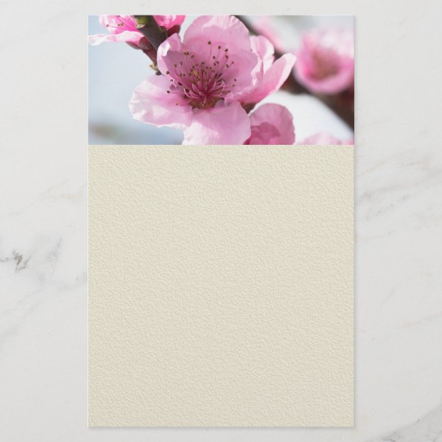Vår blomning flygblad (Framsidan)
