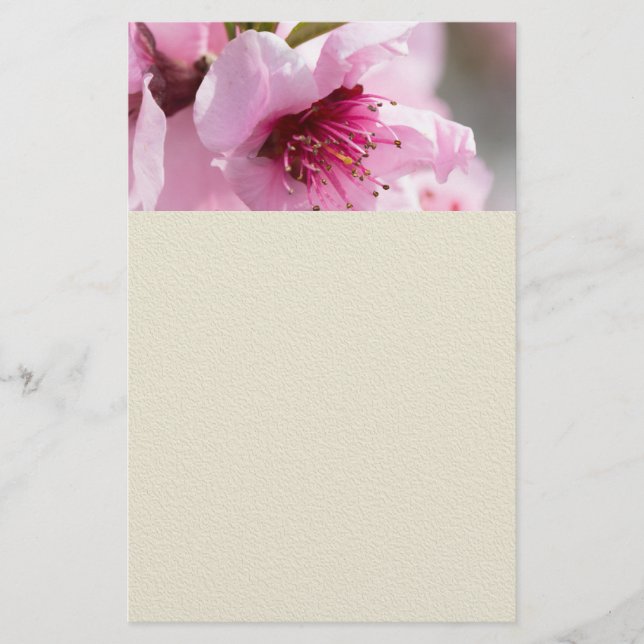 Vår blomning flygblad (Framsidan)