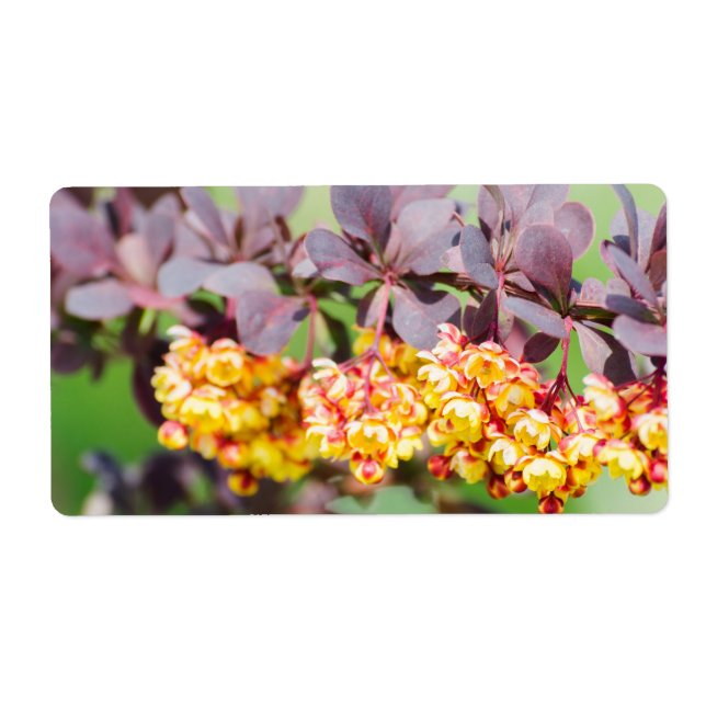 Vår-blomning Fraktsedel (Framsidan)