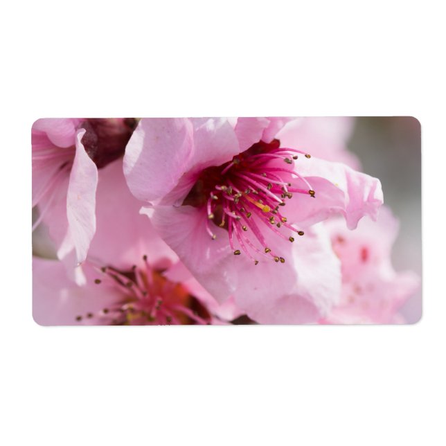 Vår blomning fraktsedel (Framsidan)