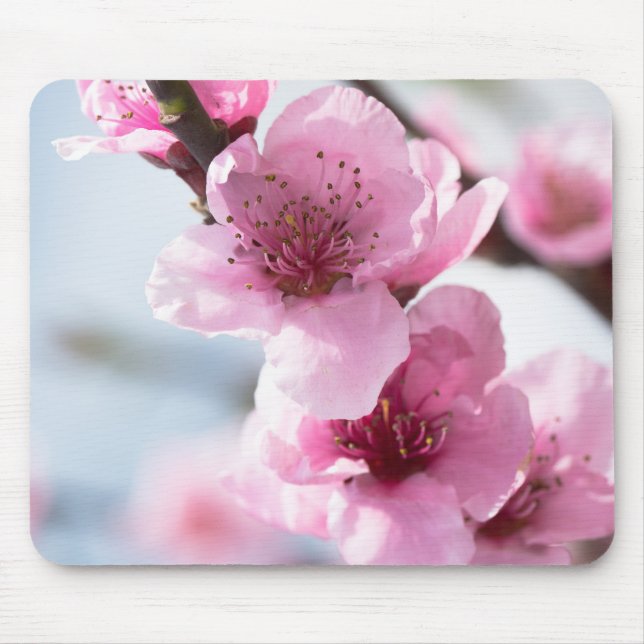 Vår blomning musmatta (Framsidan)