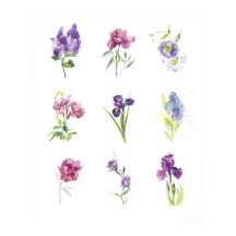 Vår blomsterstudie Akvarell Väggkonst
