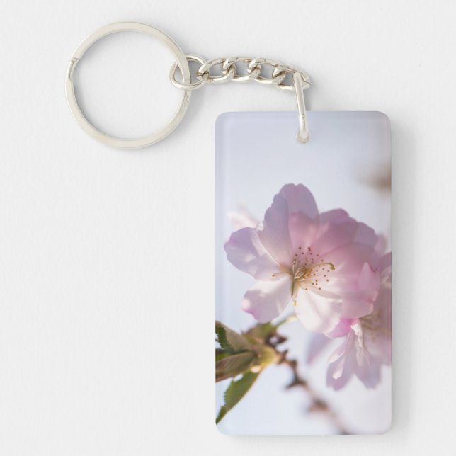 Vår blomstrar träd (Framsidan)